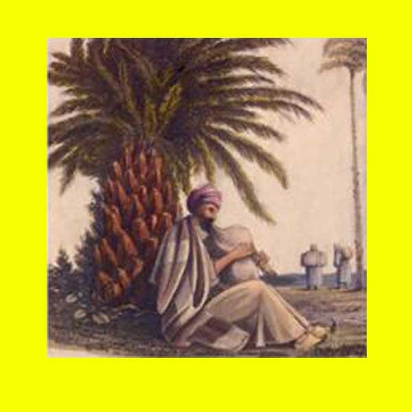 6-پژوهشی شیبکوه