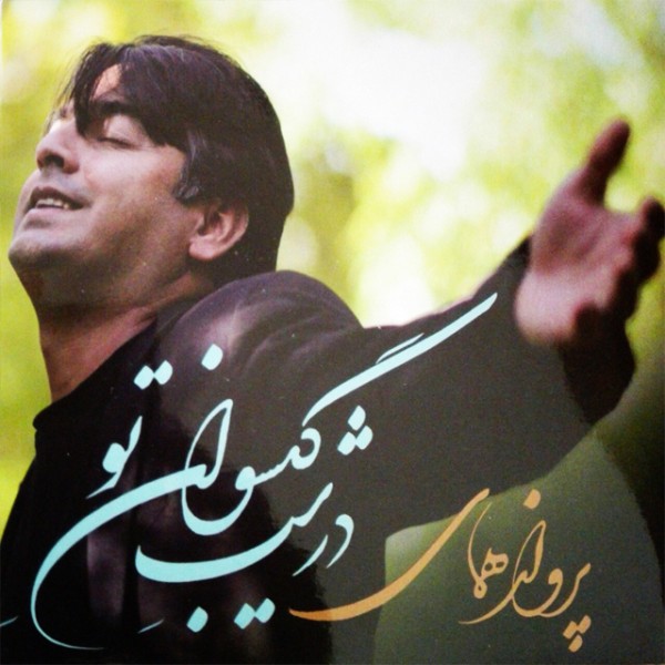 در شب گیسوان تو