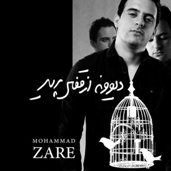 دیوانه از قفس پرید