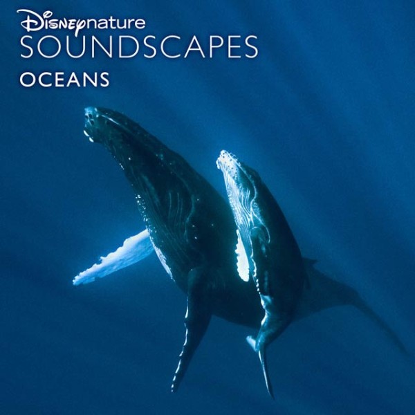 Disneynature Soundscapes Oceans/صدای اقیانوس