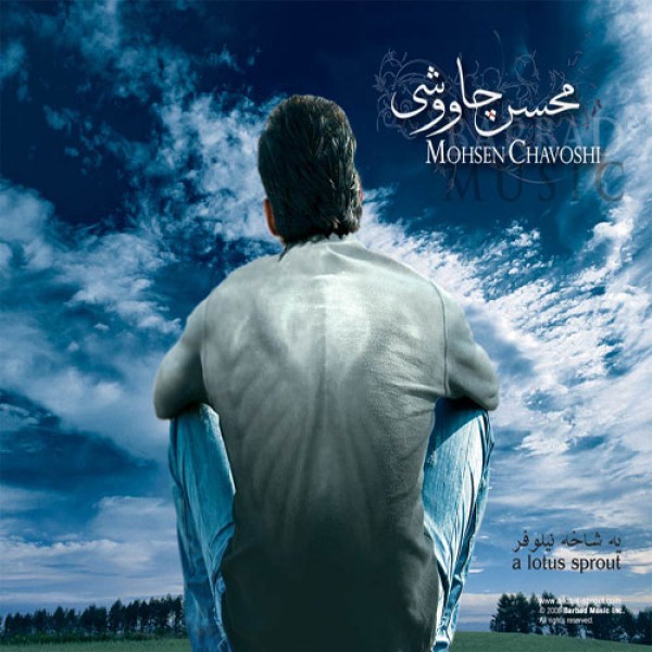 یه شاخه نیلوفر
