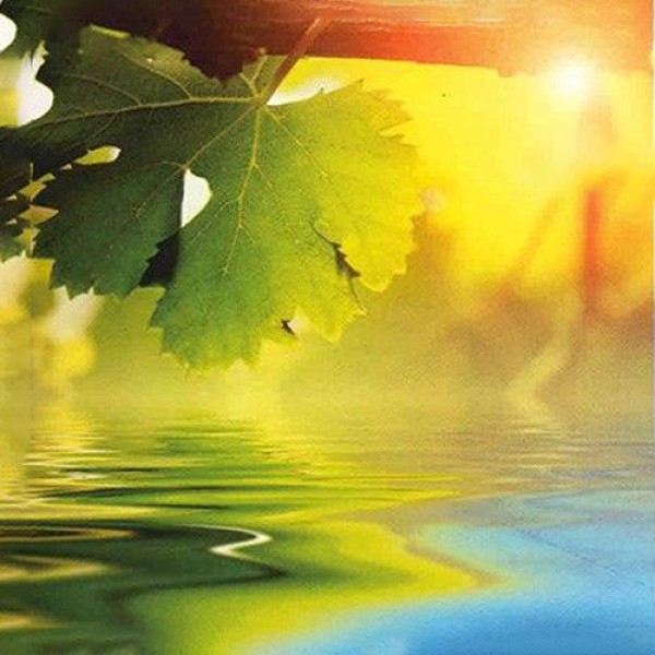 دنیا /  Donya