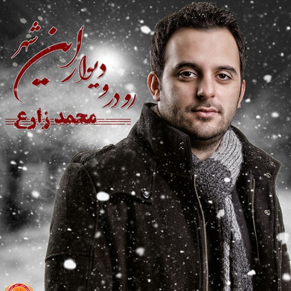 رو در و دیوار این شهر 