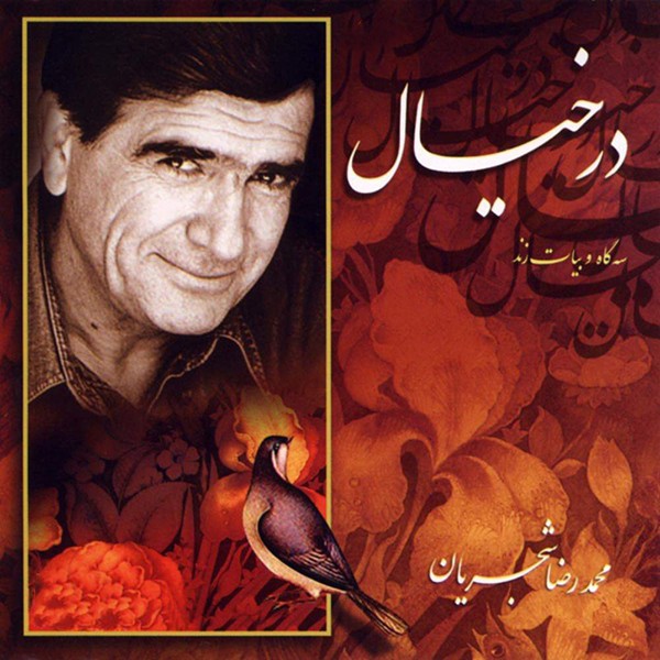 ادامه ی ساز و آواز