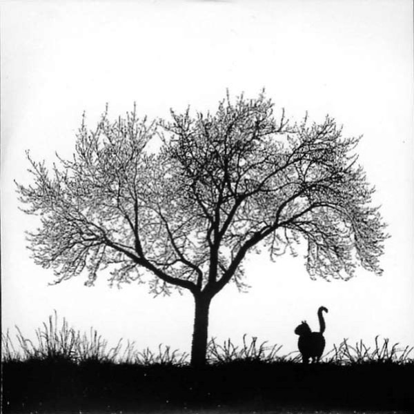  Library Tapes & Nils Frahm / نوارهای کتابخانه 