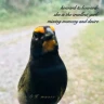  01 Alan & Johann Soundtrack Howard Shore