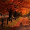 اون نگاه گرم تو  / Oun Negahe Garme To
