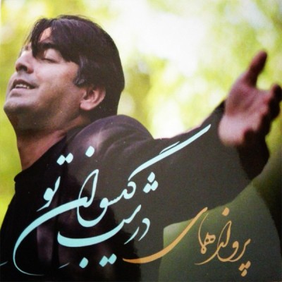 در شب گیسوان تو