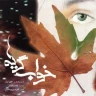 بیداری
