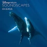 01. On the Beach.flac