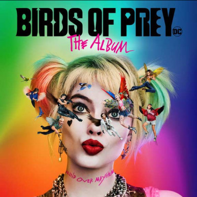 پرندگان شکاری / Birds of Prey
