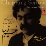آواز زند
