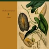 01 - The Secret Garden