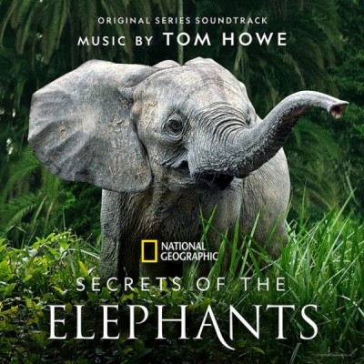 Secrets of the Elephants / اسرار فیلها