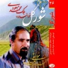 شور گل (2)