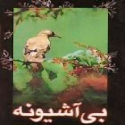 بی آشیونه