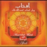 درآمد شور
