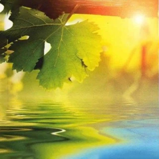   بوی دیروز /  Scent Of Yesterday 26