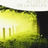 Foret  Tropicale