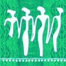 شمالی شاد (15)