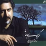 بلای عشق