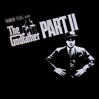 پدرخوانده قسمت 2 / The Godfather II
