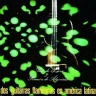 01. Cielito Lindo