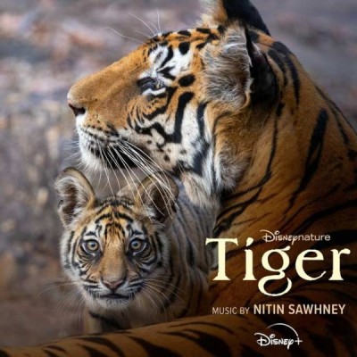 ببر طبیعت دیزنی / Tiger Disney Nature