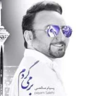 بر می گردم