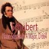 1. Allegro moderato