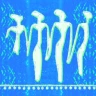 مازندرانی شاد  (17)