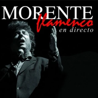 اجرای زنده فلامنکو  / Flamenco Live
