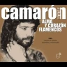 3 Alma Y Corazon Flamencos (2)