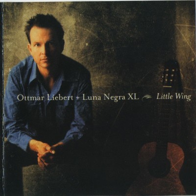  بال کوچک /  Little Wing