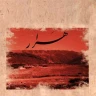 آواز آرمون