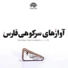 آواز مرو دشتی