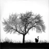 01 - Pieces of Us Were Left On The Tracks...