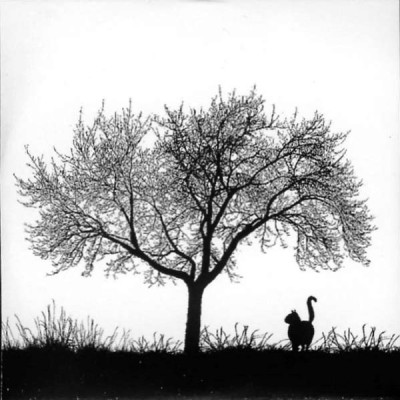  Library Tapes & Nils Frahm / نوارهای کتابخانه 