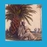 30-نوار ساحلی شیبکوه