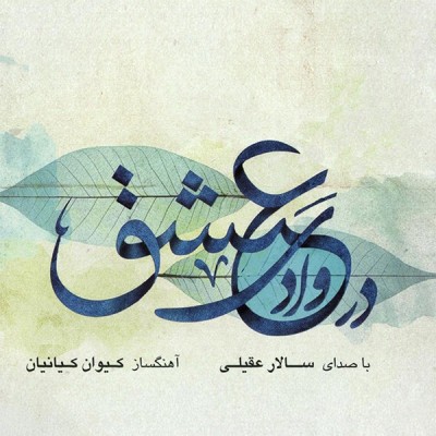 در وادی عشق