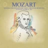  Violin,Viola And Orchestra (1)