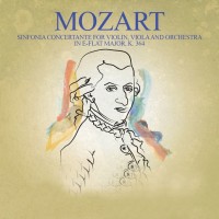  Violin,Viola And Orchestra (1)
