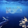 01. Sounds of the Ocean for Aromatherapy