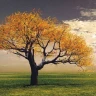علامت سوال / Alamate Soal