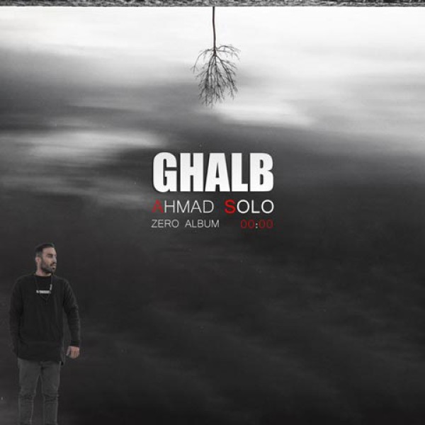 قلب