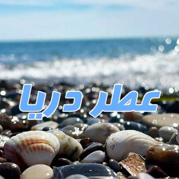 عطر دریا