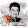 از خون جوانان وطن لاله دمیده