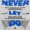 هرگز رها نکن / never let go 