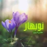   عیدانه