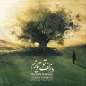 در زلف تو آویزم